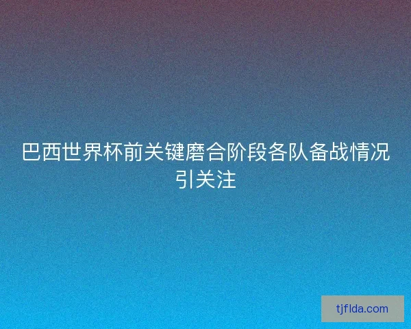 巴西世界杯前关键磨合阶段各队备战情况引关注